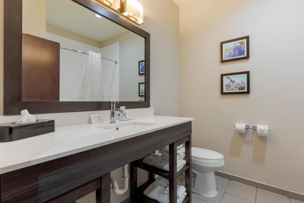 Comfort Inn & Suites Balch Springs - Se Dallas Bagian luar foto