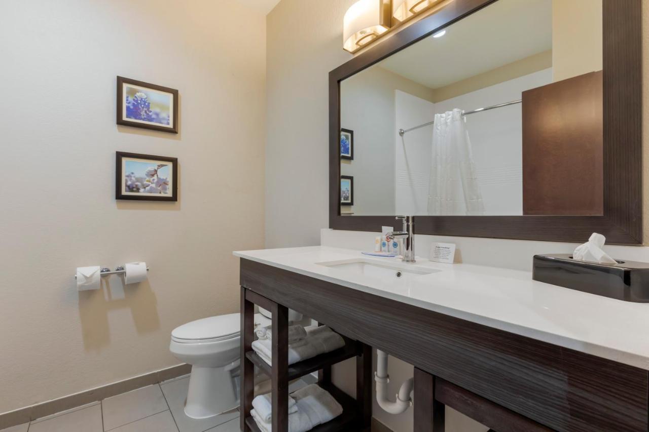 Comfort Inn & Suites Balch Springs - Se Dallas Bagian luar foto